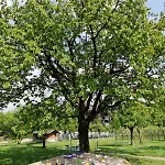 Wachingerhof Alloggio per agriturismo Bad Feilnbach