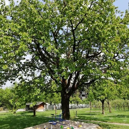 Wachingerhof Farma Bad Feilnbach