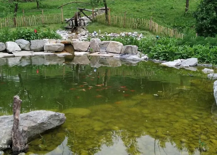 Vakantieboerderij Wachingerhof *