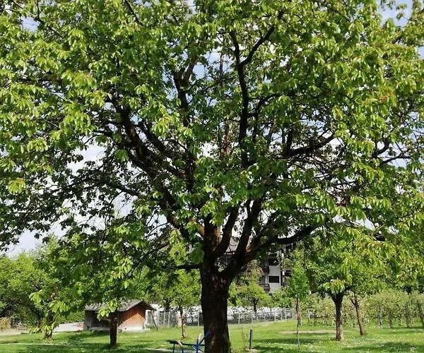 Wachingerhof Gospodarstwo agroturystyczne Bad Feilnbach